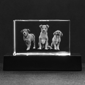 personalized crystal block