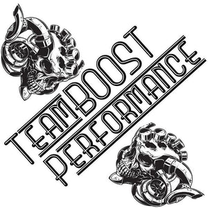 TeamBOOST performance decal